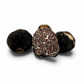 Truffes Bagnoli fraîches Tuber mesentericum sélectionnées en catégorie B