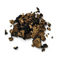 Morceaux frais Tuber melanosporum : surface extérieure foncée et intérieur marbré naturellement exposé