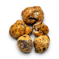 Truffes fraîches entières de catégorie A Tuber borchii sélectionnées par poids individuel d'environ 8 à 20 g