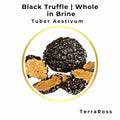 Boîte de 1 kg de truffes d'été entières en saumure