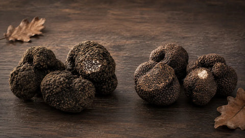 Tuber melanosporum vs Tuber indicum : différences, identification et utilisation culinaire