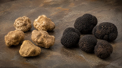 Qu'est-ce qui crée l'arôme des Truffes blanches et noires ?