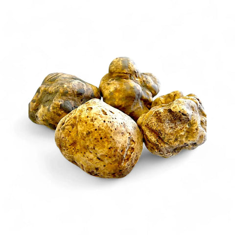 Truffes fraîches de saison