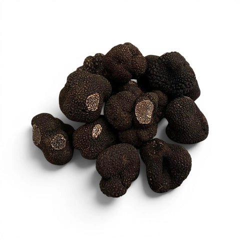 Truffes noires de Chine – Tuber indicum