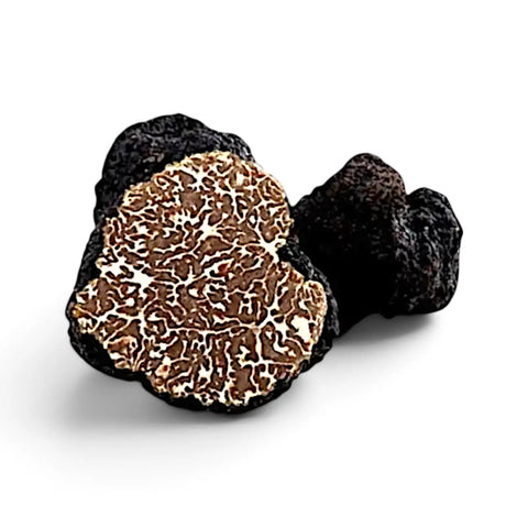 Truffes de Bagnoli – Tuber mesentericum