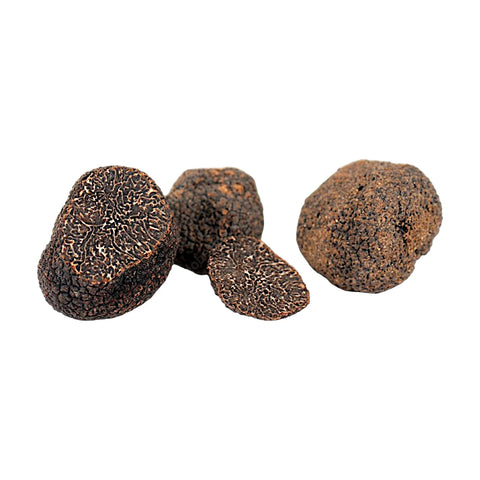 Truffe noire – Tuber melanosporum