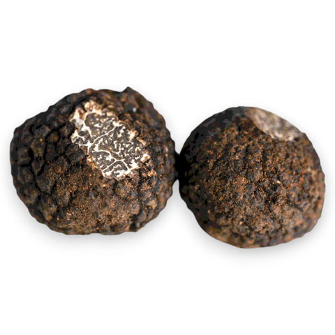 Truffe noire chinoise fraîche – Tuber indicum (catégorie B)