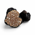 Truffes Bagnoli fraîches entières Tuber mesentericum sélectionnées en catégorie A
