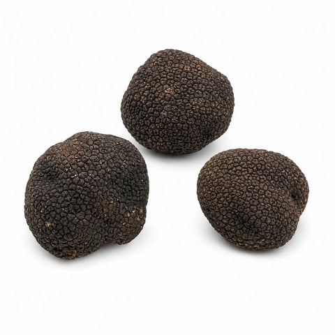 Truffe fraîche de Bourgogne – Tuber uncinatum (catégorie A)