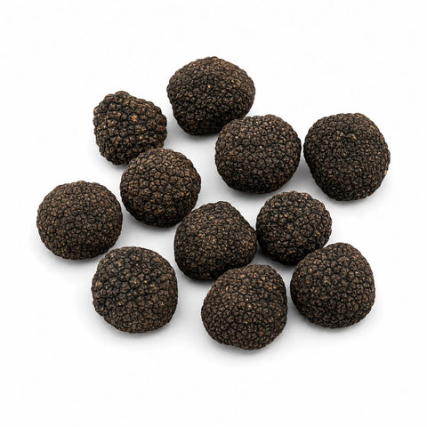 Truffe fraîche de Bourgogne – Tuber uncinatum (catégorie B)