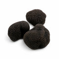 Truffes de Bourgogne entières et fraîches Tuber uncinatum, sélectionnées en catégorie EXTRA