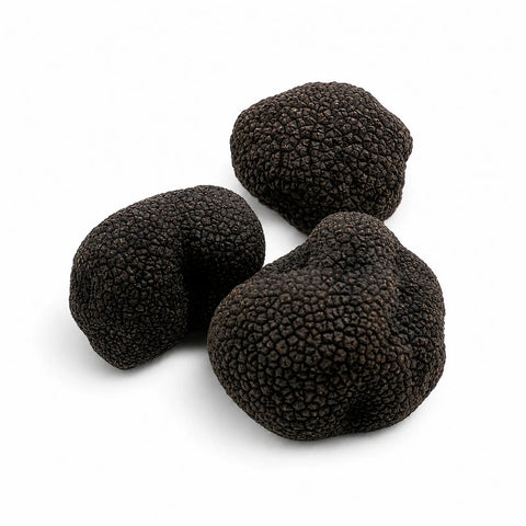 Truffe de Bourgogne fraîche – Tuber uncinatum (catégorie EXTRA)