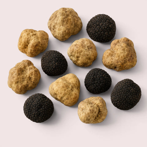 Truffes fraîches de saison