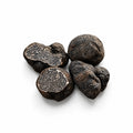 Quatre truffes noires lisses fraîches de Tuber macrosporum sélectionnées pour un usage culinaire de qualité A