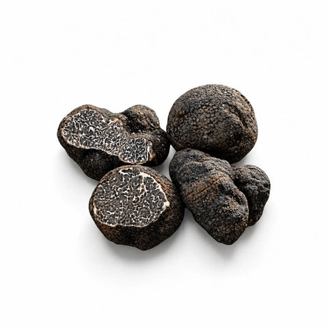 Truffe noire lisse fraîche – Tuber macrosporum (catégorie A)