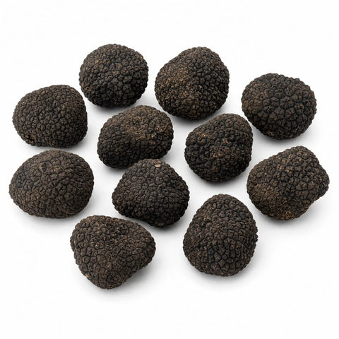 Truffe d’été fraîche – Tuber aestivum (catégorie B)