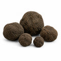 Truffes d'été entières et fraîches – Tuber aestivum, catégorie EXTRA