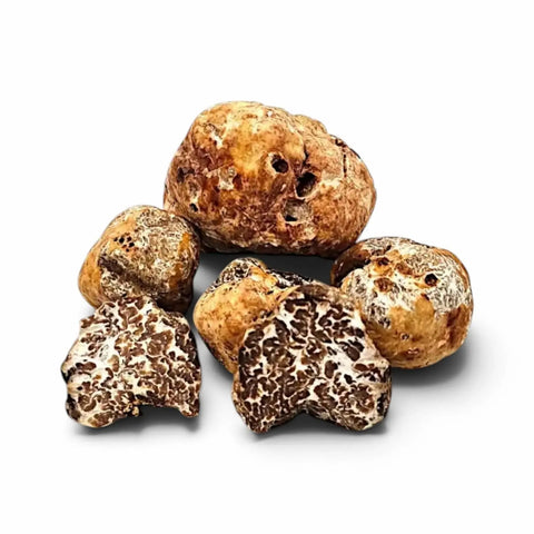 Truffes fraîches coupées Tuber borchii de catégorie B, présentant une couleur intérieure pâle naturelle et un persillage fin
