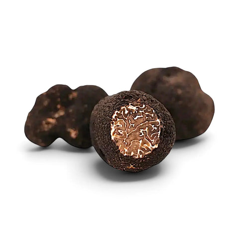 Truffes noires d'hiver entières fraîches Tuber brumale, de catégorie A, disposées sur une surface sombre