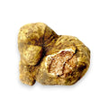 Grosses truffes blanches fraîches Tuber magnatum présentant leur couleur extérieure naturelle et leur marbrure intérieure d'origine