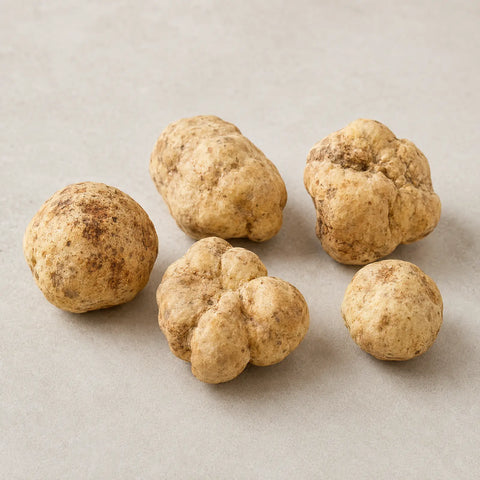 Truffes blanches fraîches de taille moyenne Tuber magnatum présentant une couleur ocre pâle naturelle et des variations extérieures