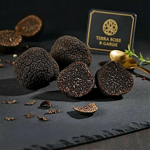 Petits spécimens frais Tuber melanosporum présentant une variation naturelle de catégorie B