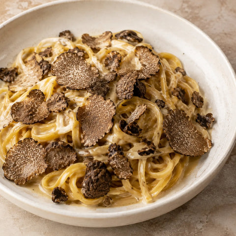 Truffe d’été surgelée – Tuber aestivum, tranchée sur des tagliolini crémeux