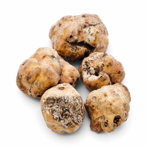 Truffe blanche de printemps surgelée, entière et coupée – Tuber borchii sur fond blanc