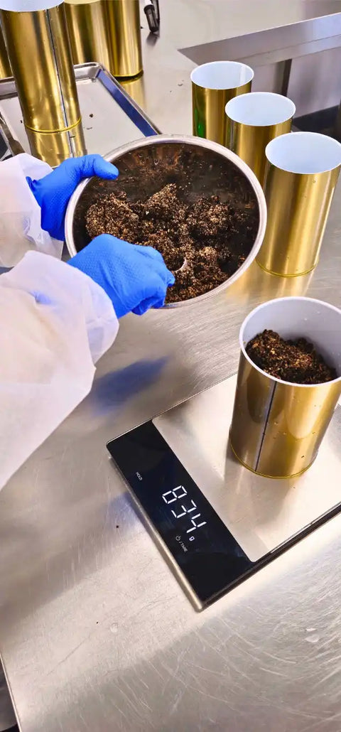 Préparation de produits à base de truffe d'été pour la restauration et l'industrie agroalimentaire