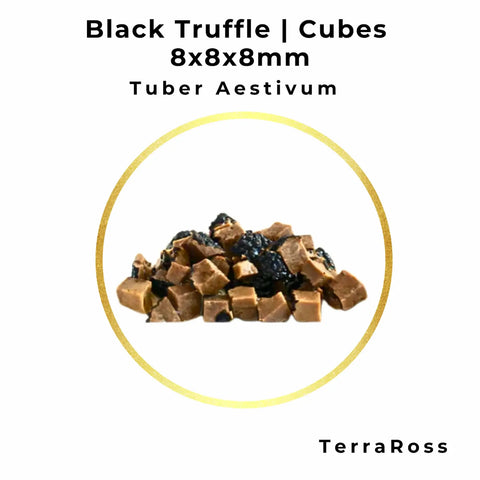 Cubes de Truffes d'été 8 × 8 × 8 mm en saumure