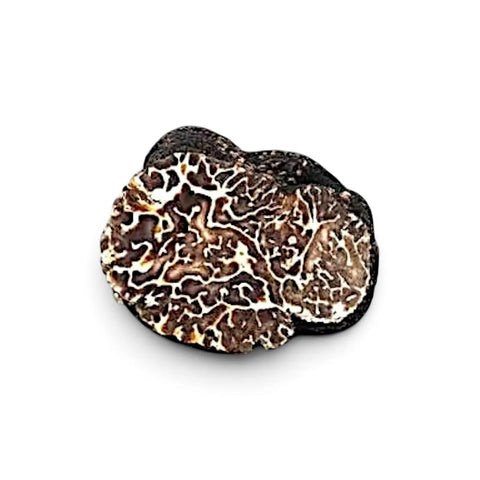 Truffe noire d'hiver coupée Tuber brumale, de catégorie A, présentant des veines pâles et ramifiées à l'intérieur naturellement sombre