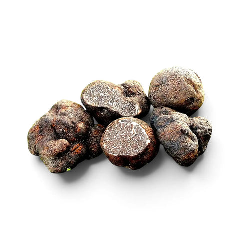 Gros plan de truffes Tuber macrosporum à surface lisse et foncée et intérieur marbré